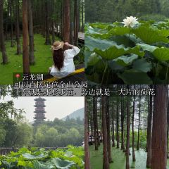 CHEN YANG YANG ROU GUAN User Photo