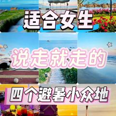 張記煎餅張用戶圖片