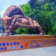 HA JIU HAI User Photo