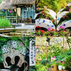 YU YAN LOU User Photo