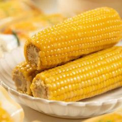 光明刘冰乳鸽店(光明法政北路店) User Photo