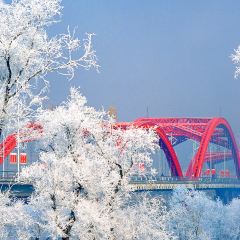 金达莱冷面馆 User Photo