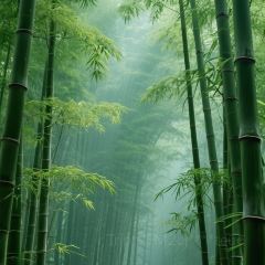 外婆的味道私房餐厅 User Photo