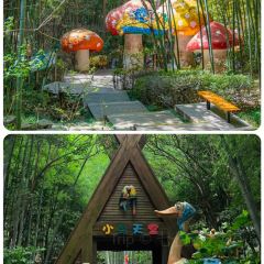 YU YAN LOU User Photo