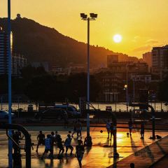 近水樓台園林食府張用戶圖片