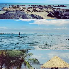 波哥私房菜(金沙湾店) User Photo