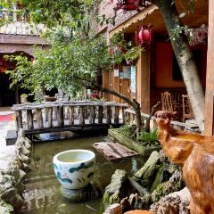 九重葛 User Photo