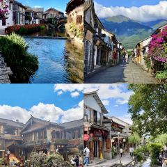 楊記餌塊張用戶圖片