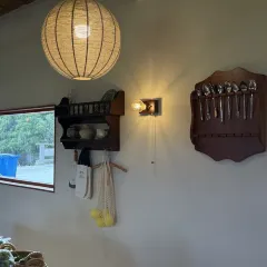 乡野菜 User Photo