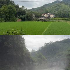 秋福米粉 User Photo