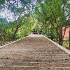 GU LOU SLICED NOODLES User Photo