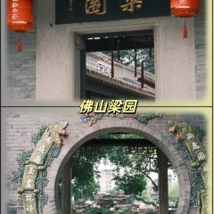 FengCheng ShuangPi Nai User Photo