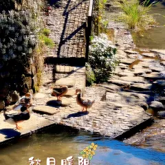 御香农家菜(后坞集散中心店) 여행 사진