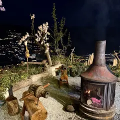 幽兰落 User Photo