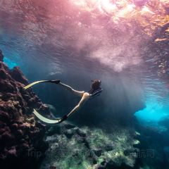 Oleai Beach Bar & Grill User Photo