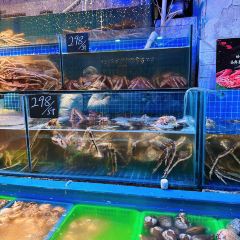 无桥洞海鲜烧烤(总店) User Photo