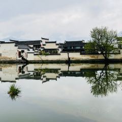 宏村得月楼(月沼店) User Photo