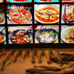 閩府佳宴（上下杭店）張用戶圖片