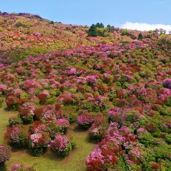梨园三道菜 User Photo