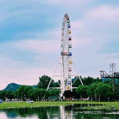 商山名厨 User Photo