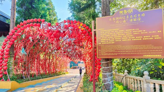 Tiandao Lake International Tourism Resort