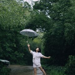 青芷森林·咖啡店 User Photo