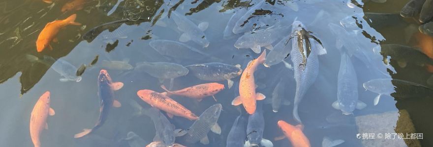 好口福小吃店(中兴街店)