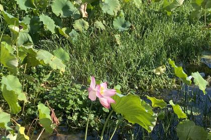 好口福小吃店(中兴街店)