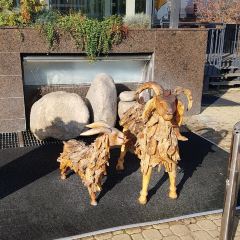 Portfolio restaurant User Photo