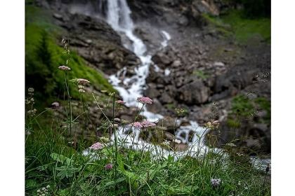 Restaurant Hohliebe - Stubli
