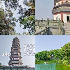 CANAL LUNA User Photo