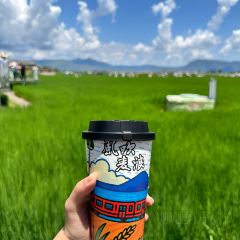 滇西公主·云南私房菜•雪山观景餐厅 User Photo