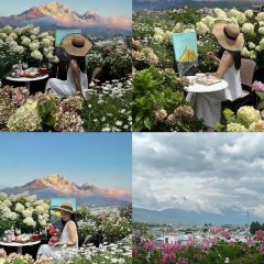 屋頂咖啡·日落甜茶·雪山花園 ·bistro張用戶圖片