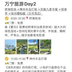 椰小鸡·椰子鸡(日月湾店) 여행 사진