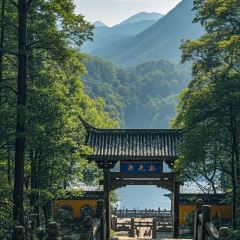 CRAYFISH KING User Photo