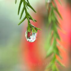 南湾鱼味馆 User Photo