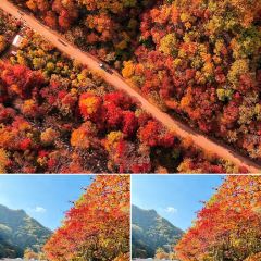 Number One User Photo