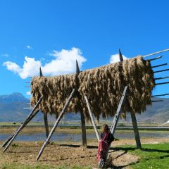 黑豆咖啡屋 User Photo