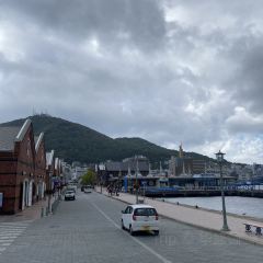 Petite Merveille at Bay User Photo