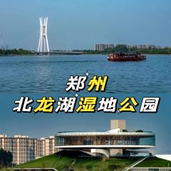 ZHENG XI WANG User Photo