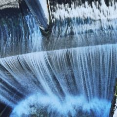 築箐苑張用戶圖片