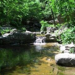 Baijiazhaobing User Photo