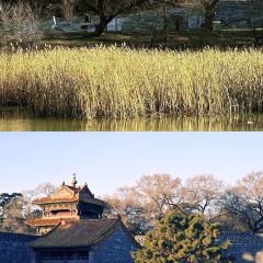 彩塔炒焖子(彩塔夜市店) User Photo