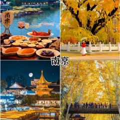 HONGCHI LAOMA SHENGTAI CANTING User Photo