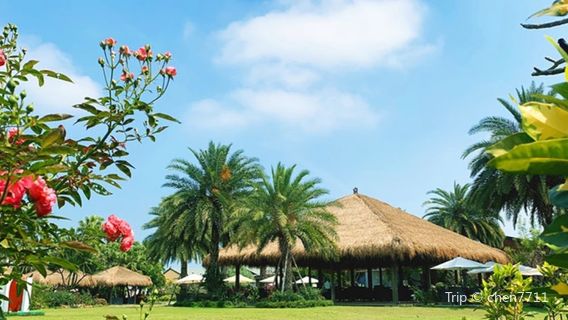 Arwin Bali scenic coastal plant