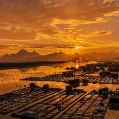 福宁海鲜大排档 User Photo