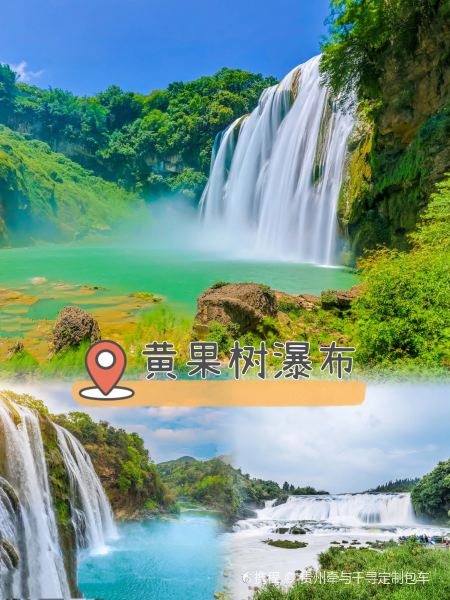 苗家酸汤鱼(243国道店)