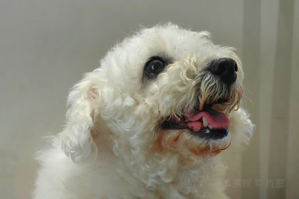 三木咖啡(天一店)