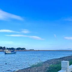 广海新渔村(广海渔人码头店) User Photo
