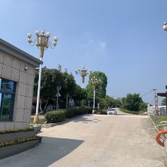 桂庭院农家乐 User Photo